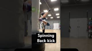Spinning Back Kick demonstration thumbnail