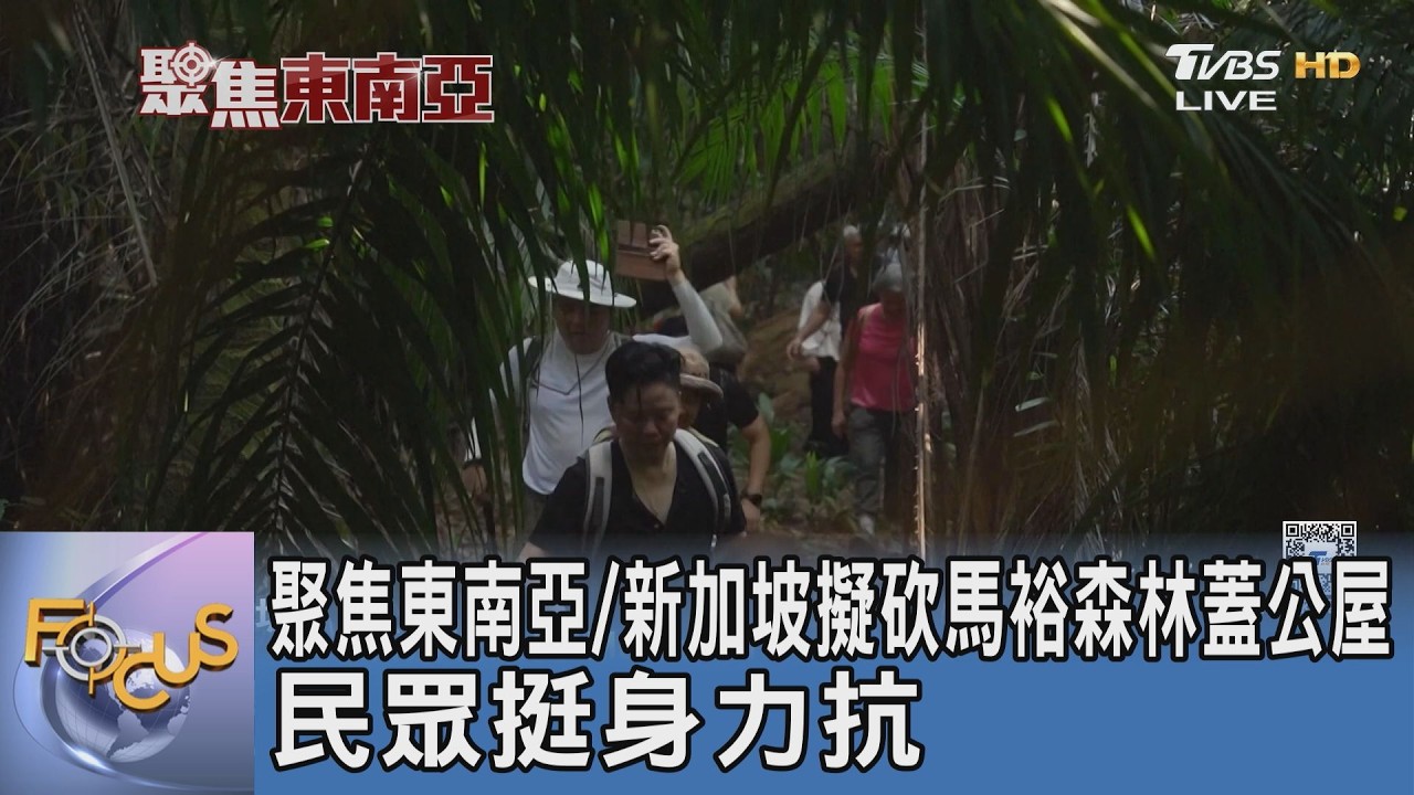 聚焦東南亞/新加坡擬砍馬裕森林蓋公屋 民眾挺身力抗