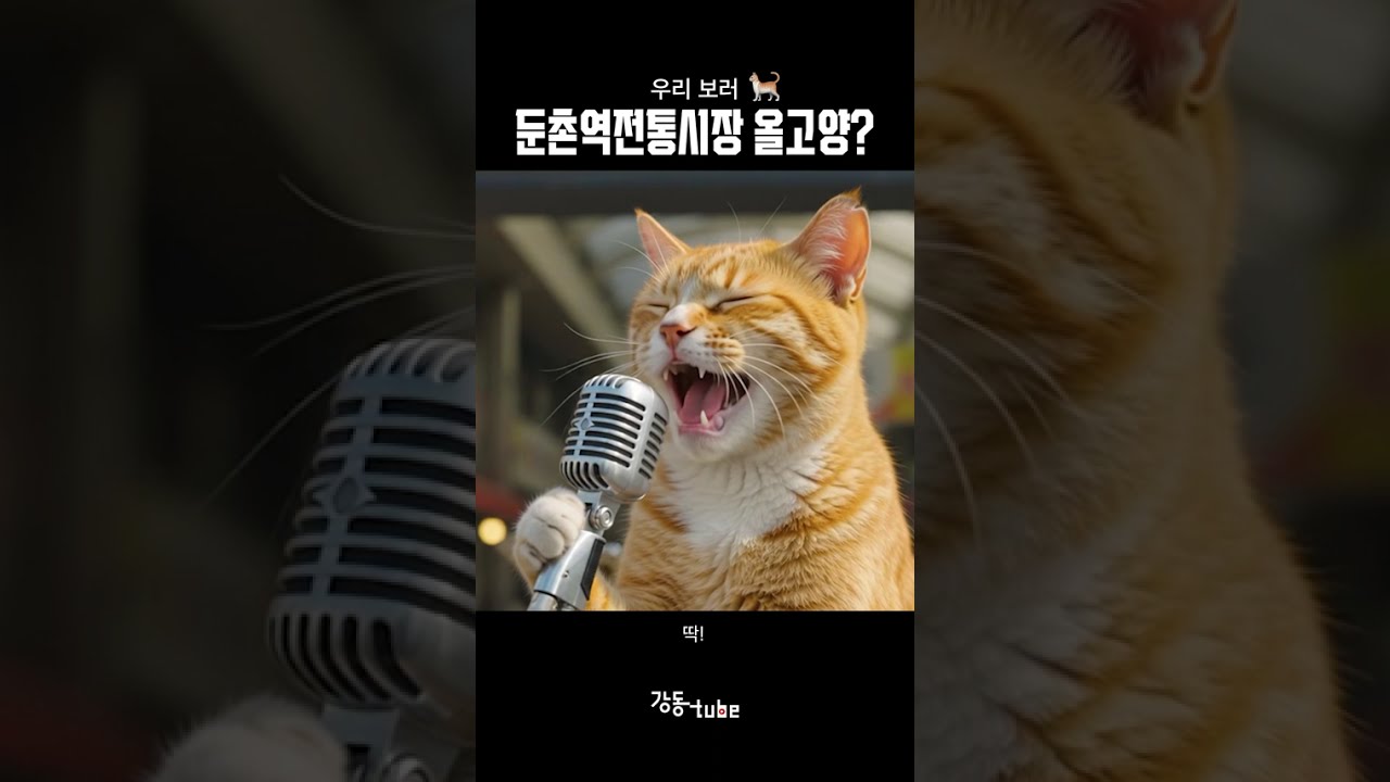 놀러올고양~?