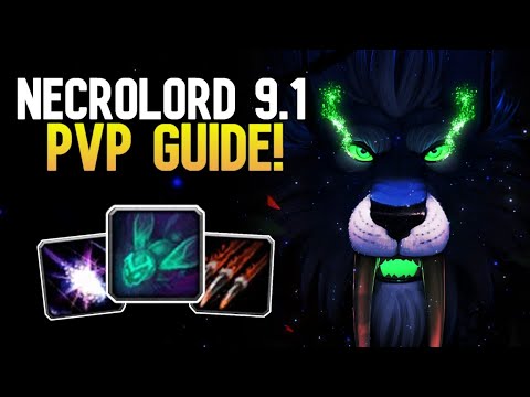9.1 NECROLORD FERAL DRUID PVP GUIDE | Talents, Legendaries, Soulbinds and more!