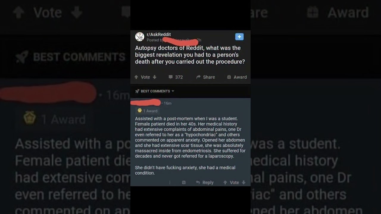 Has No Idea It's Famous and That Is Peak Humor 😂