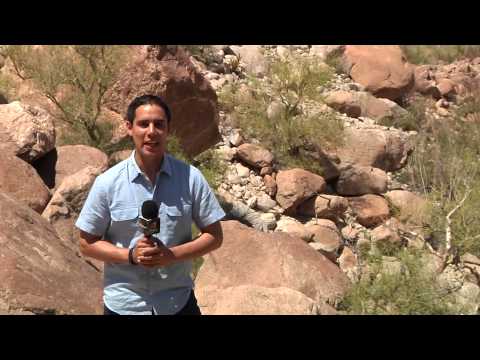 El Cañón de Guadalupe, un Oasis en el desierto de Baja California.