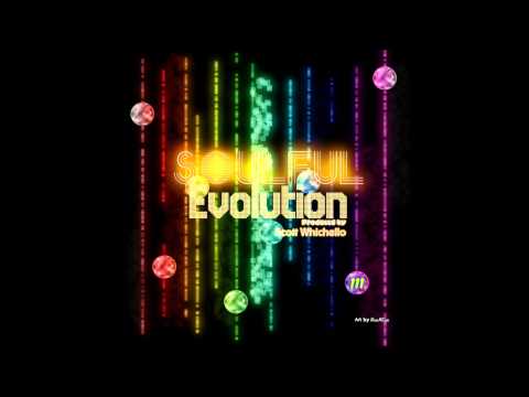 Soulful Evolution October 30th 2014 Soulful House Show (111)