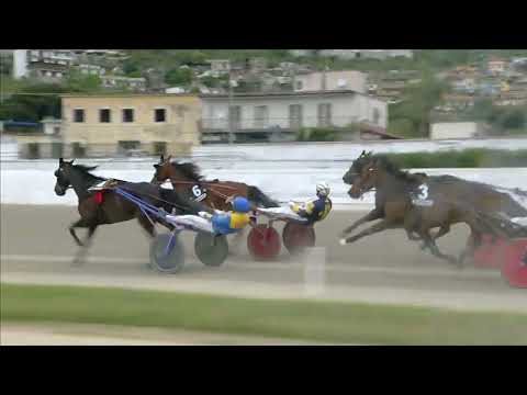 Napoli Trotto 01/05/2023 - 6ª corsa