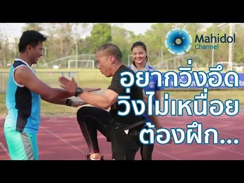 ซูมเชื้อโรคม้าเว็บไซต์อย่างเป็นทางการ วิธีที่จะทำให้ค้อนไม้ของ ธ อร์