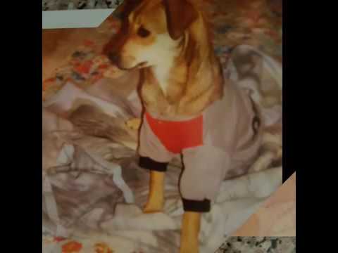 Riposa in pace polly la tua mamma 😘😘😘😘