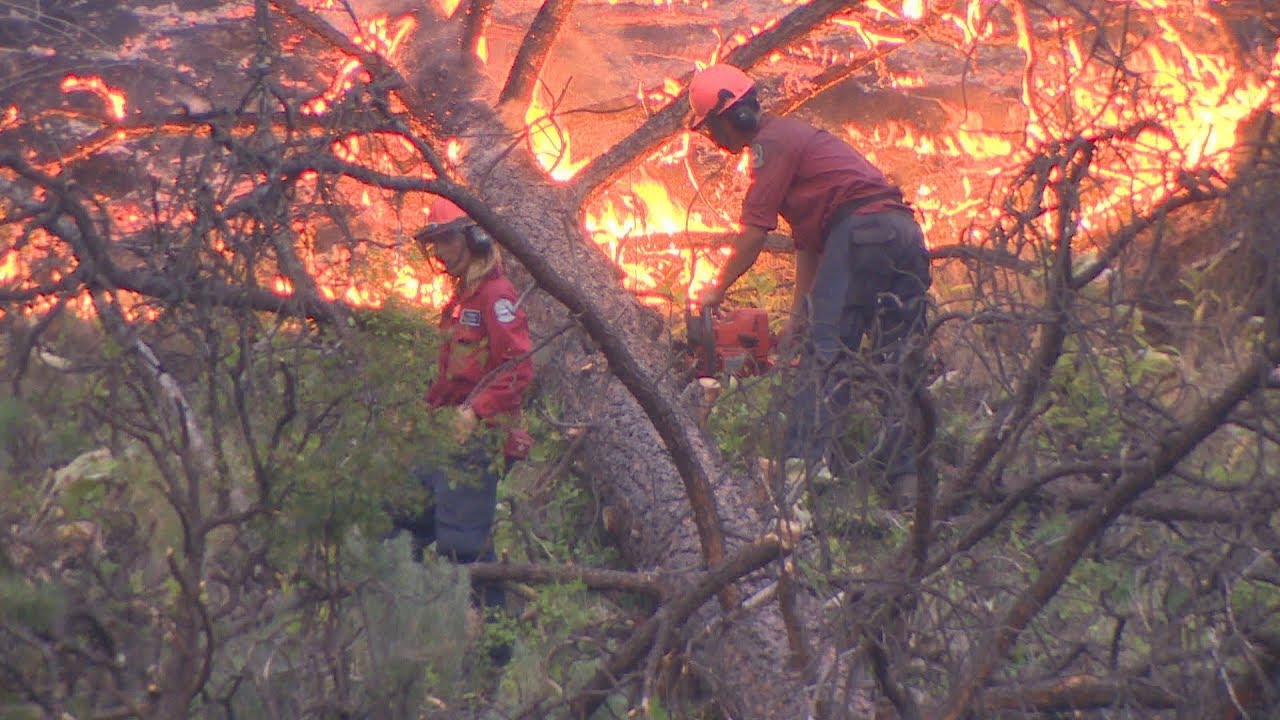 Carbon emissions from wildfires shoot higher in B.C.