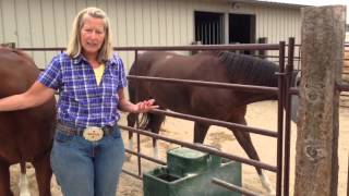 How to Manage Mud Around Horses