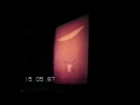 Flos Taccia , De Caro Home Design Rivenditore Autorizzato.