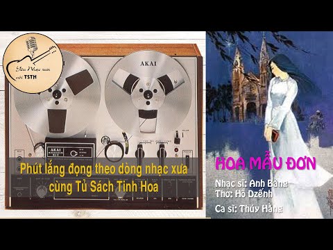 Hoa mẫu đơn - Thúy Hằng