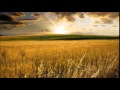 Kevin Kern - Fields Of Gold 