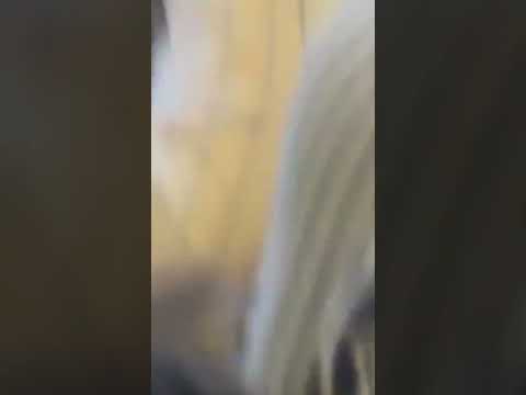 Florin Stefan și Daniel Roșca - nou 2022