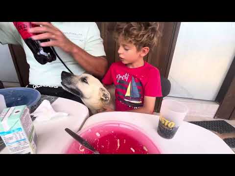 Vídeo de ASPEN