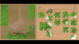 🪿 Goose Jigsaw Puzzle - Animals Puzzles for Kids Walkthrough