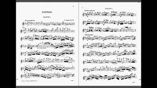 Duettino Hongrois op.36 (Franz Doppler)