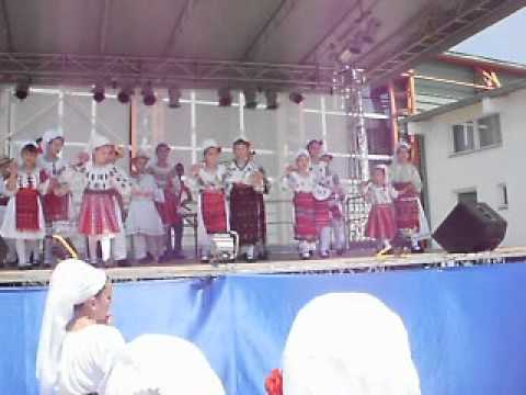 Ansamblul Doina Mischiului