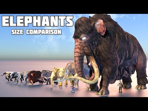 ELEPHANT And MAMMOTH Size Comparison