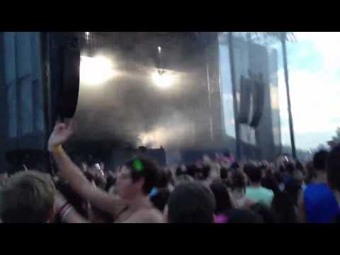 Axwell Electric Zoo 2012 (Greyhound)