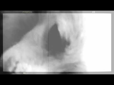 Dog funy video (tomy)#ssshiv