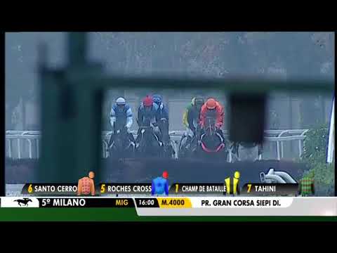 2017.11.12 Gran Corsa Siepi di Milano (ITA) - Champ De Bataille