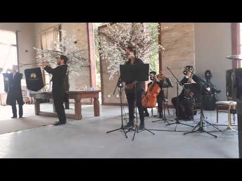 Marcha Nupcial - MonteAria - Luana Camarah