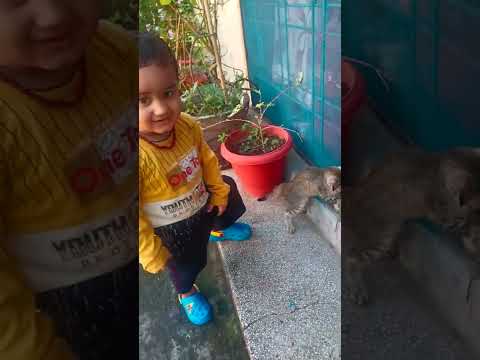 vanshu playing with katty