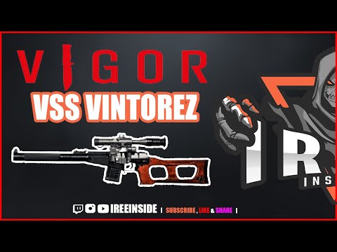 VIGOR I WAFFEN I VSS VINTOREZ I GERMAN