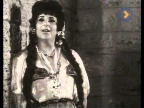 ZORA  DUBLJEVIC  - TELAL  VICE OD JUTRA DO MRAKA