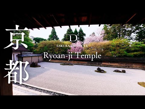 [SAKURA DRONE] ｜龍安寺（Ryoan-ji Temple）京都市右京区｜桜ドローンプロジェクト 4K