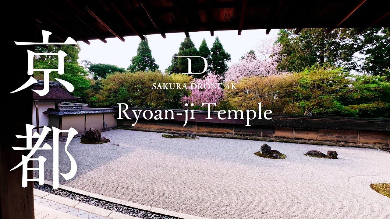 [SAKURA DRONE] ｜龍安寺（Ryoan-ji Temple）京都市右京区｜桜ドローンプロジェクト 4K