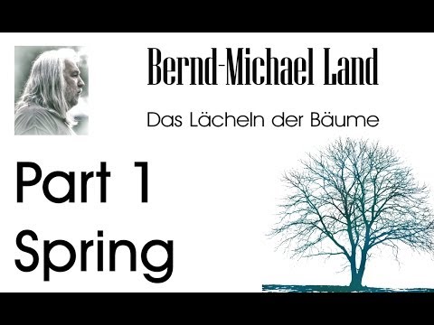 Bernd-Michael Land -Spring / relaxing ambient electronic music & meditation