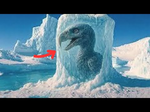 Extinct Animals of Antarctica: The Lost Creatures Beneath the Ice