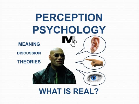 The Psychology of Perception - Simplest Explanation Ever