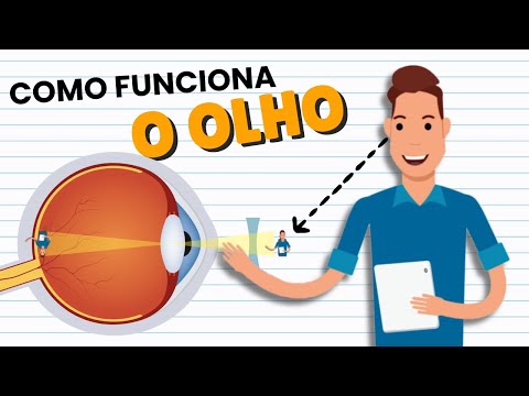 How does VISION work? THE HUMAN EYE