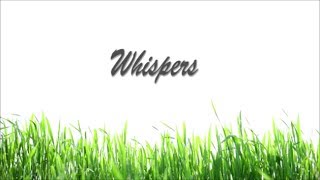 Whispers - Passenger (Lyric Video)