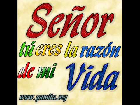 Maravilloso - Puerto Seguro