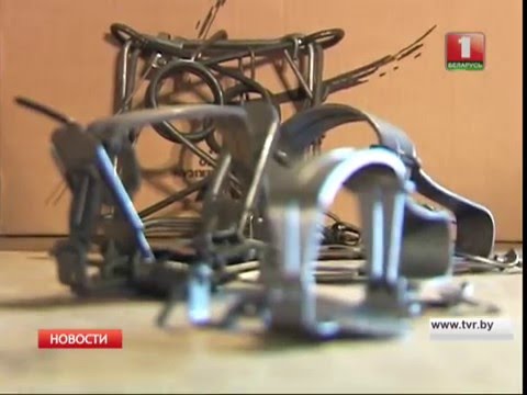 Металлические капканы задержали на белорусско-украинской границе