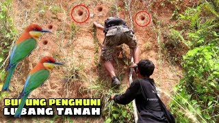 Download lagu BURUNG KIRIK KIRIK SENJA pada BERSARANG DI TEBING INI mp3