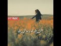Hum Sadky Tumhary Full Status Video Tiktok Famous Song Lyrics