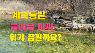 청정계곡 통발 들깨묵을 넣으면 뭐가 잡힐까요?  최고 맛있는 어탕칼국수 만들어 먹어보자