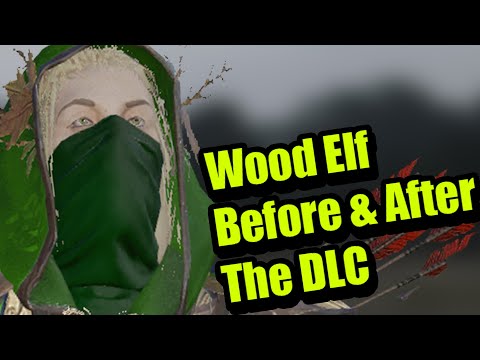 Wood Elf Before DLC update & After DLC Update