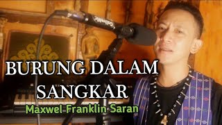 Download lagu Burung dalam sangkar | Maxwel Franklin Saran | Cover @assapaimusicproduction3555 #music mp3