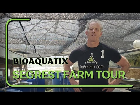 Visiting Segrest Farm, Gibsonton, Florida