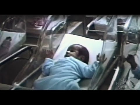 Wonders of Life - The Making of Me (August 1991)