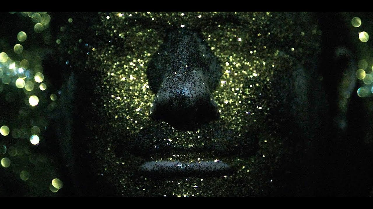 Unify Separate - Mute (official video)