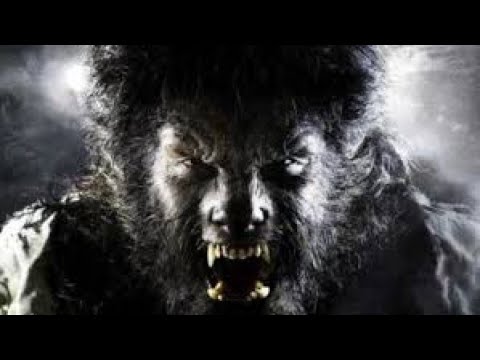 The Curse of the Werewolf of the Old Road | The Brazilian Legend That Nobody Dared to Tell