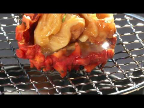 岩手観光動画：大地の神秘と美食の旅　岩手県・県北部をめぐる