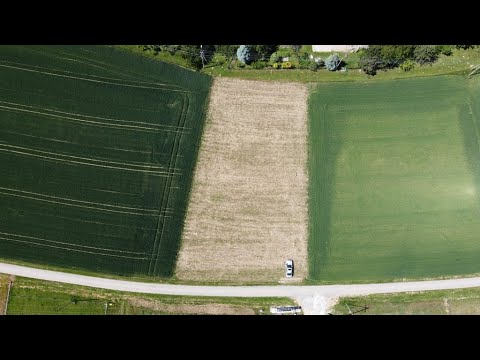 Archon+ Dom w przebiśniegach 6 (G2) #1