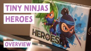 Tiny Ninjas Heroes Overview for Solo and 2-Player | Danicha