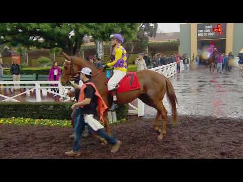 2017 Rodeo Drive Stakes